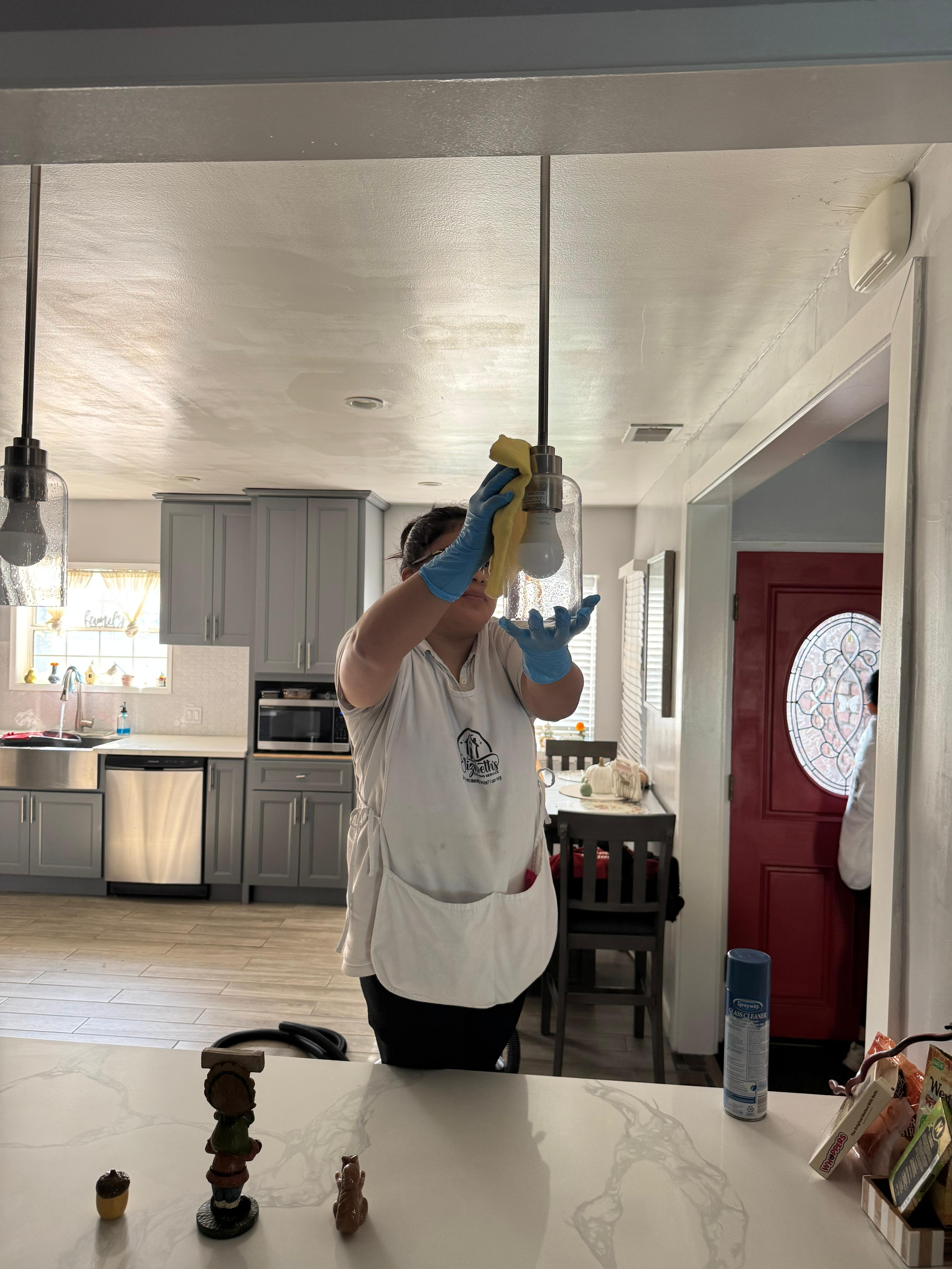 Professional deep cleaning service